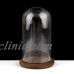 4"X7" DIY Clear Glass Display Dome Cloche Bell Jar With Wooden Base Stand Decor   113056896482